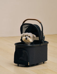 Four-Way Ultra-Light Detachable Stroller 3 Colors