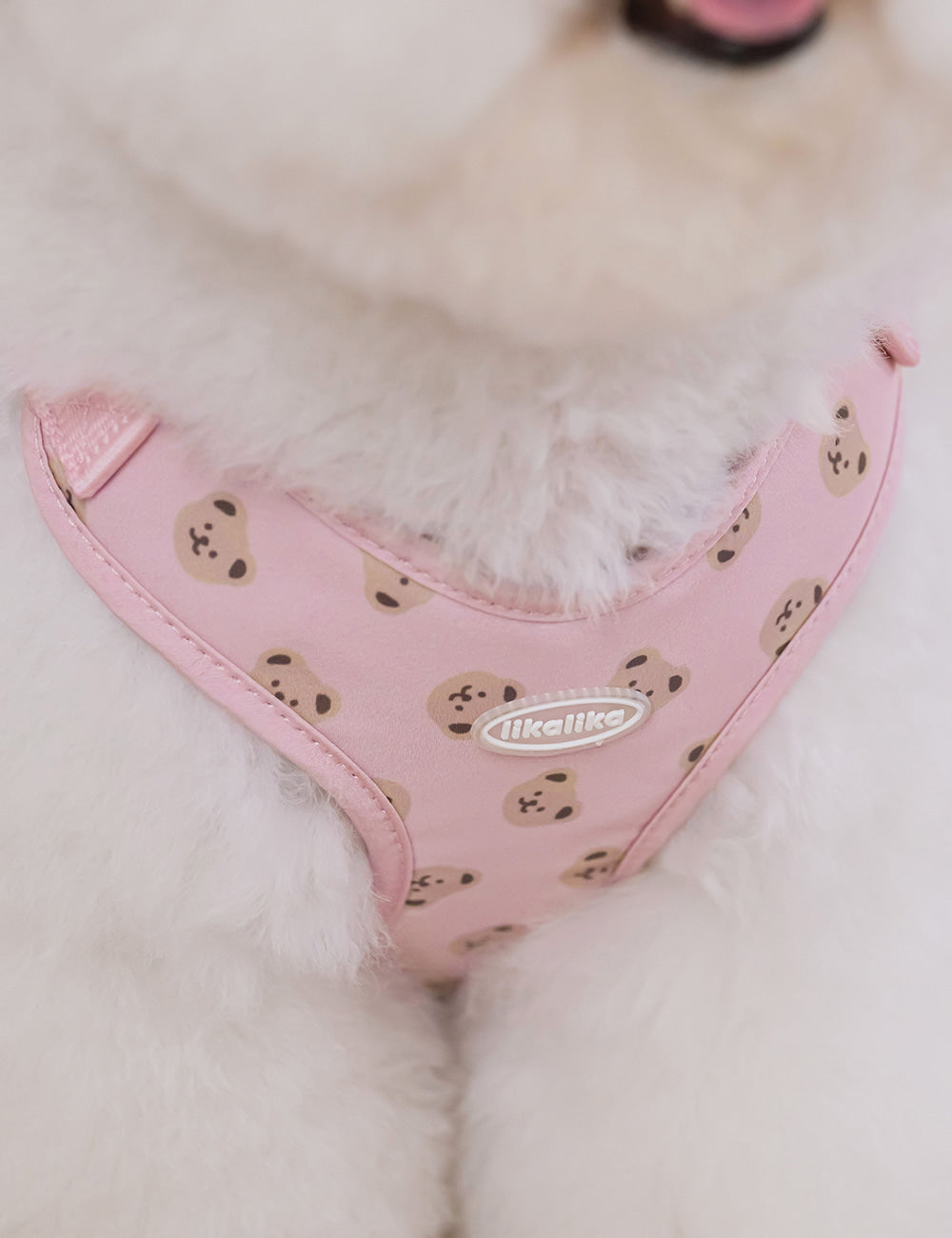 Bear Bebe Harness X-Type 3 Colors