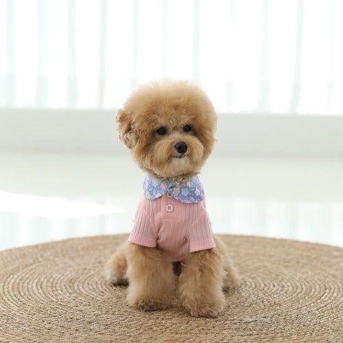 꽃카라 크롭티 [Pink]