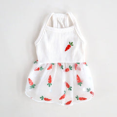 Carrot Mesh Dress – White