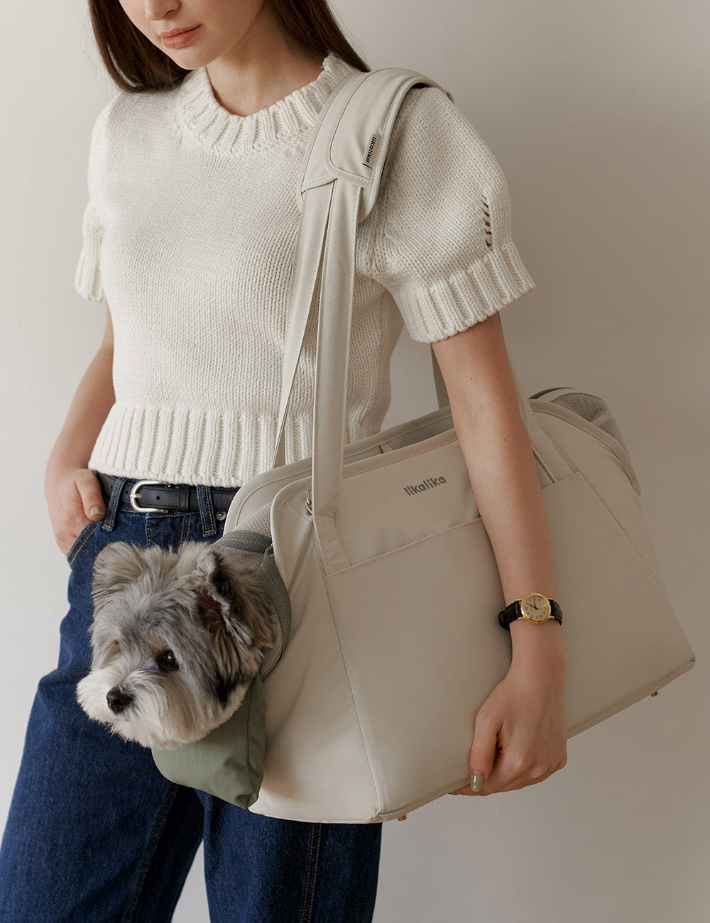 Cushion Bag Carrier Bag Add-On Option Cushion And More