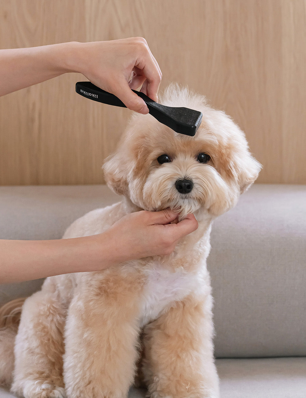 Sensible Slicker Brush 3 Types