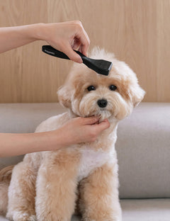 Sensible Slicker Brush 3 Types