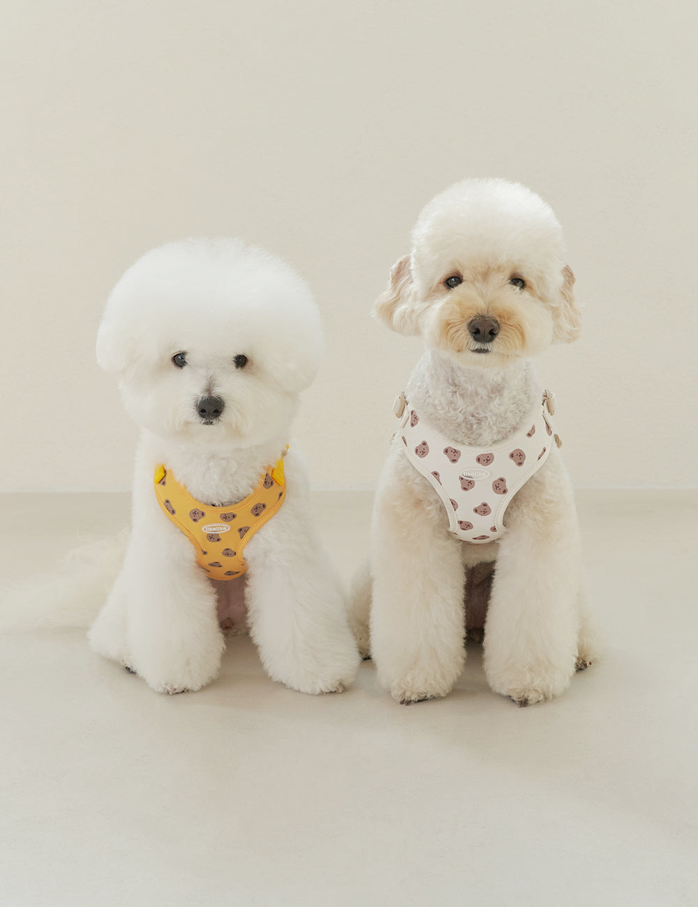 Bear Bebe Harness X-Type 2 Colors