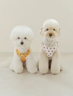 Bear Bebe Harness X-Type 2 Colors