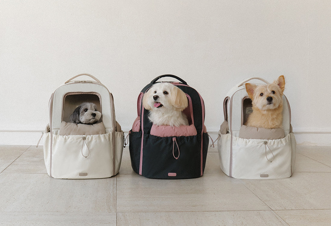 T-Core Backpack 2 Colors