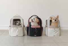 T-Core Backpack 2 Colors