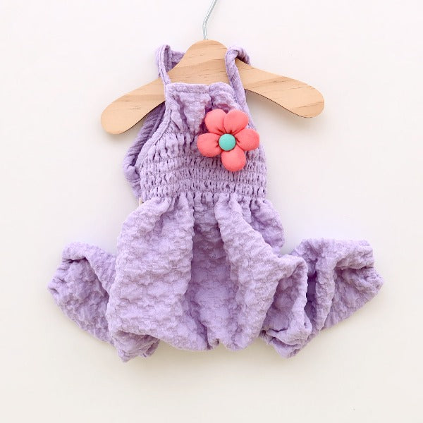 Pumpkin Pants – Violet
