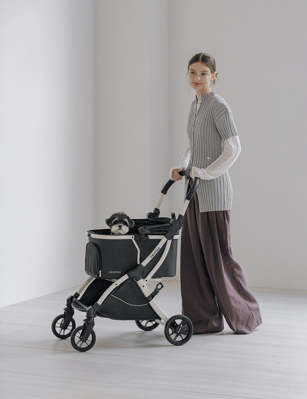 All Day Light All-in-One Stroller 2nd Gen 2 Colors