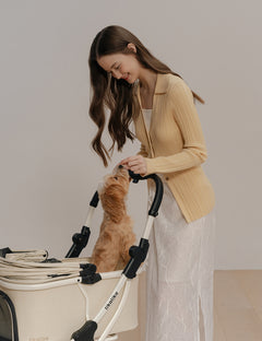 All Day Plus All-in-One Stroller 2 Colors