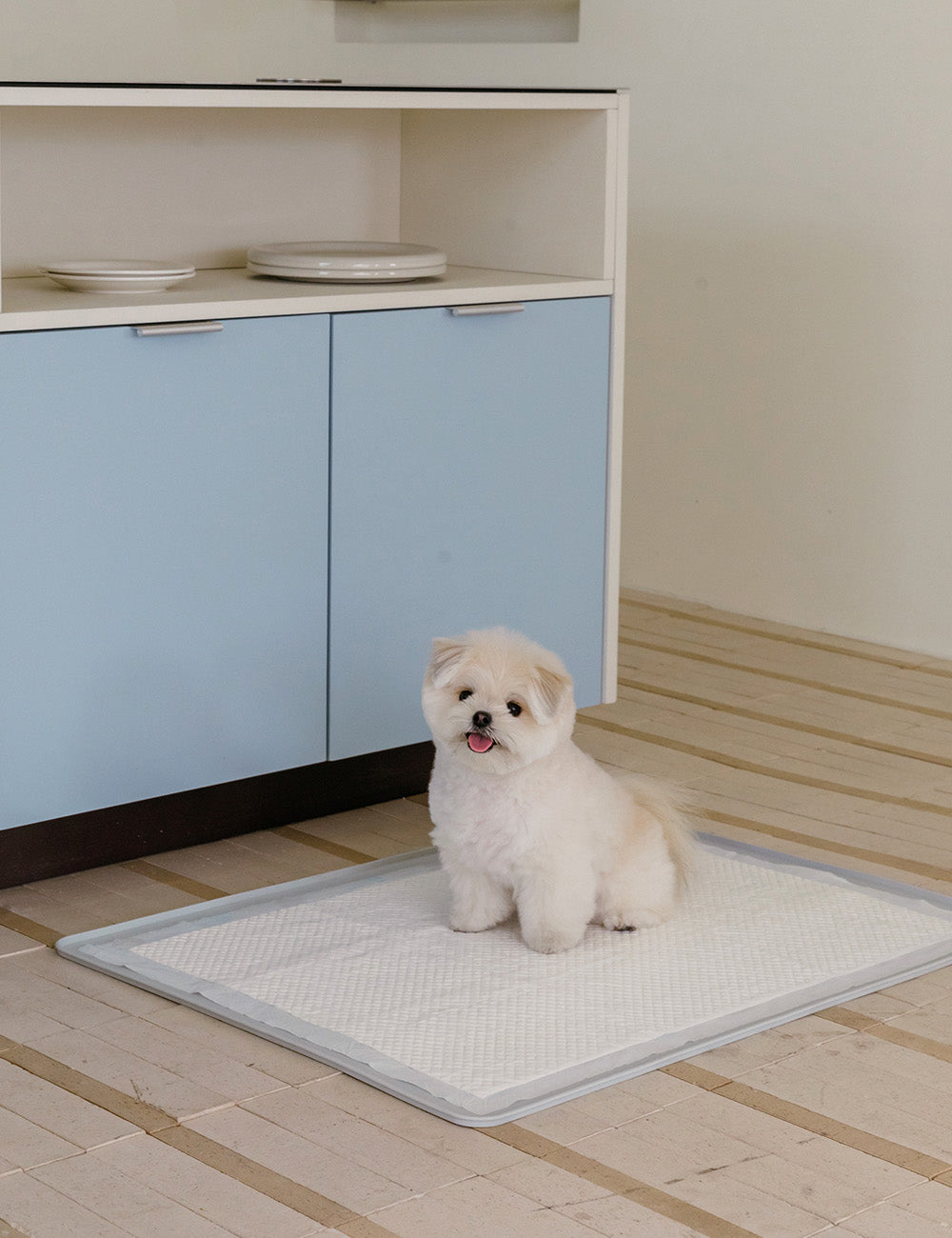 Non-Slip Silicone Potty Mat (Standard / Large)
