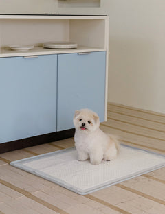 Non-Slip Silicone Potty Mat (Standard / Large)