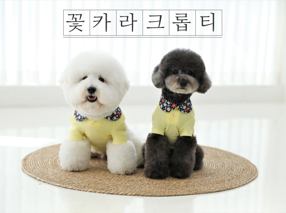꽃카라 크롭티 [Yellow]