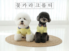 꽃카라 크롭티 [Yellow]