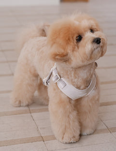 Breeze Walk Harness X-Type 3 Colors