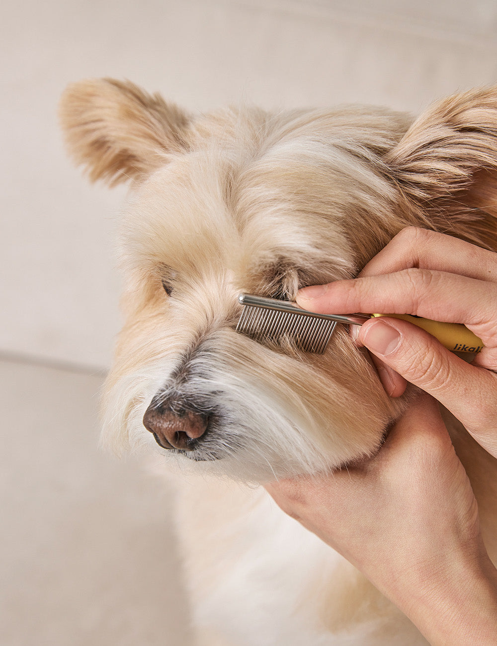 Sensible Face Comb