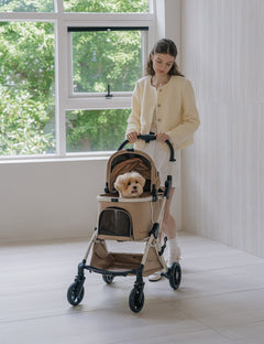 All Day Light All-in-One Stroller 2nd Gen 2 Colors