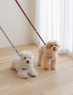 Stella Check Harness L-Type 2 Colors
