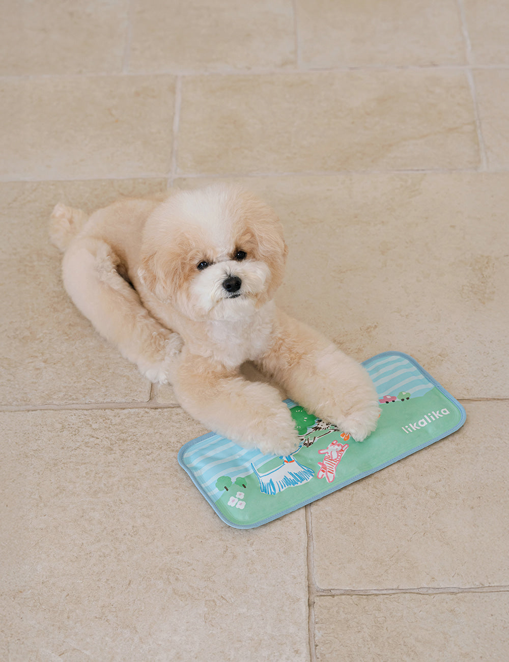 Snooze Cool Mat 2Size (S/L)
