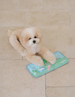 Snooze Cool Mat 2Size (S/L)