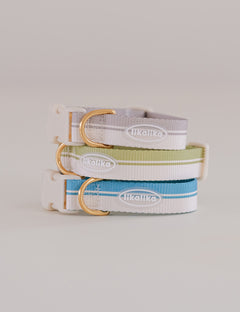 Breeze Walk Collar 3 Colors
