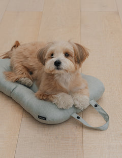 DuoFlex Detachable Stroller Add-On Option