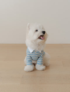Preppy Collar T-Shirt 2 Colors