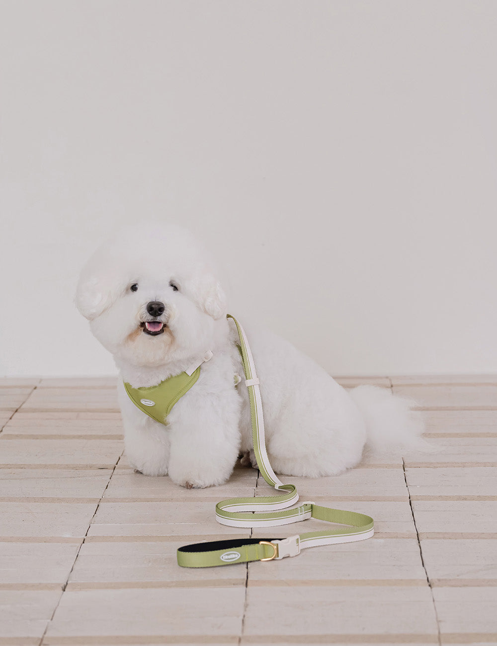 Breeze Walk Hands-Free Leash 3 Colors