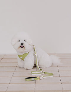 Breeze Walk Hands-Free Leash 3 Colors