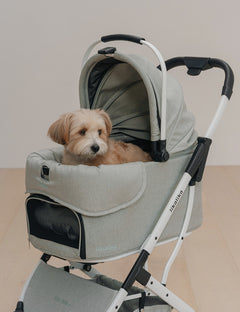 DuoFlex Detachable Stroller Add-On Option