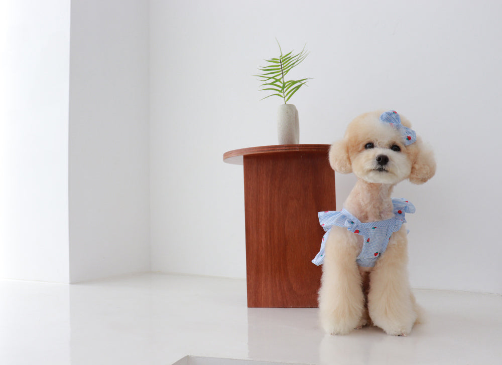 Berry Pop Crop Blouse – Sky Blue