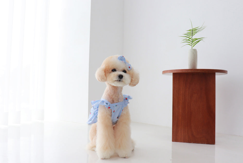 Berry Pop Crop Blouse – Sky Blue