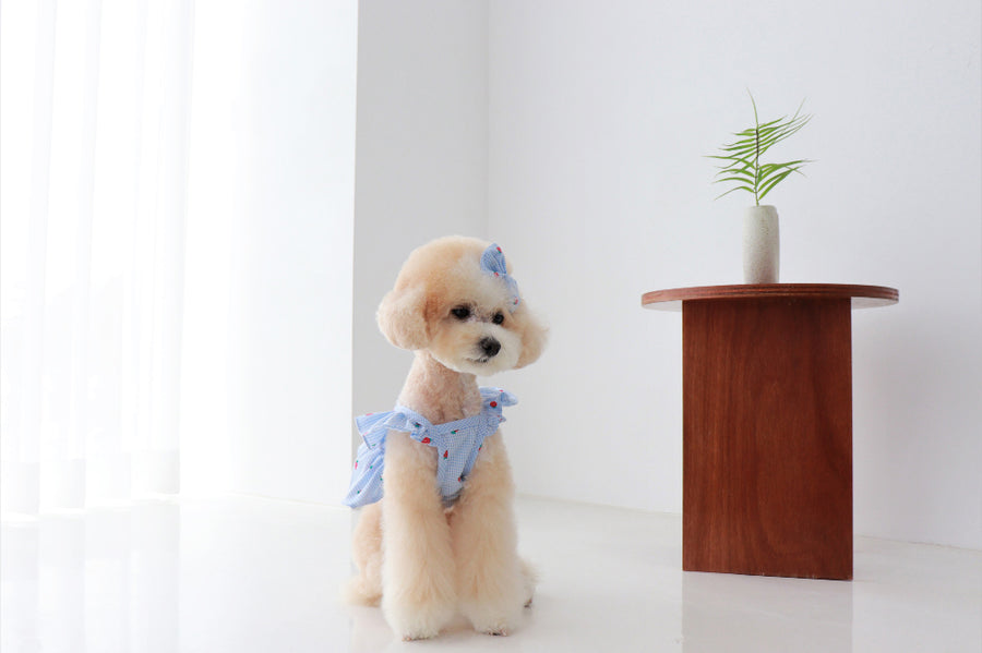 Berry Pop Crop Blouse – Sky Blue