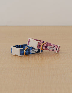Stella Check Collar 2 Colors