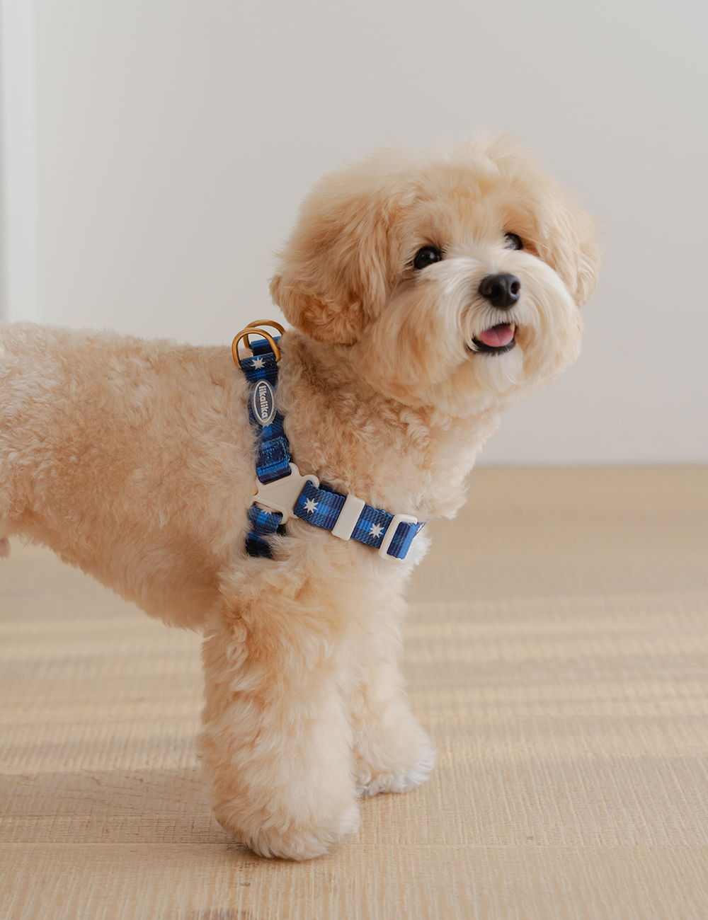 Stella Check Harness L-Type 2 Colors