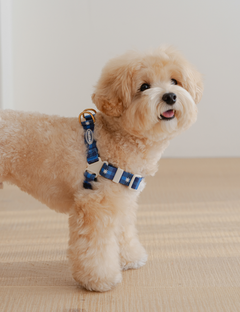 Stella Check Harness L-Type 2 Colors