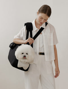 Renewal Cushion Bag Carrier Bag Add-On Option Cushion And More