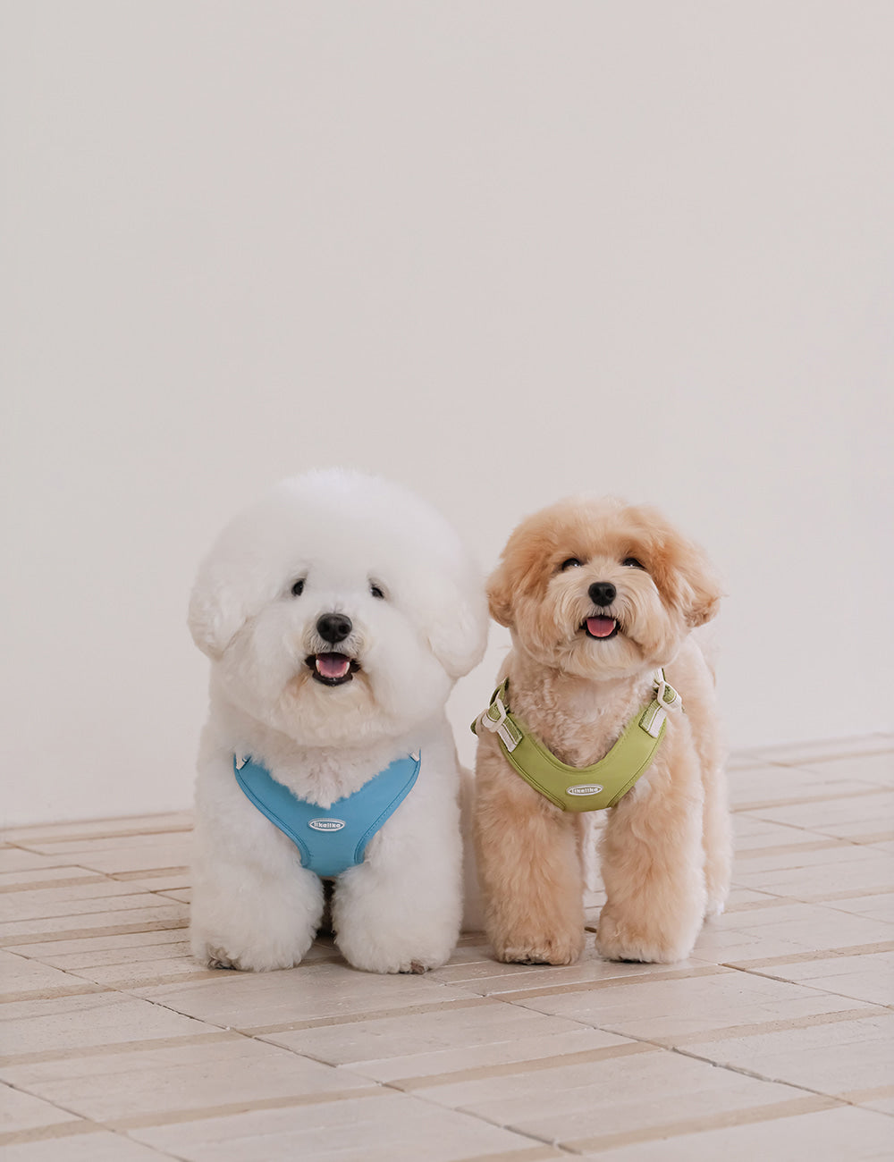 Breeze Walk Harness X-Type 3 Colors