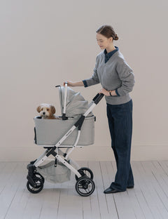 DuoFlex Detachable Stroller 2 Colors