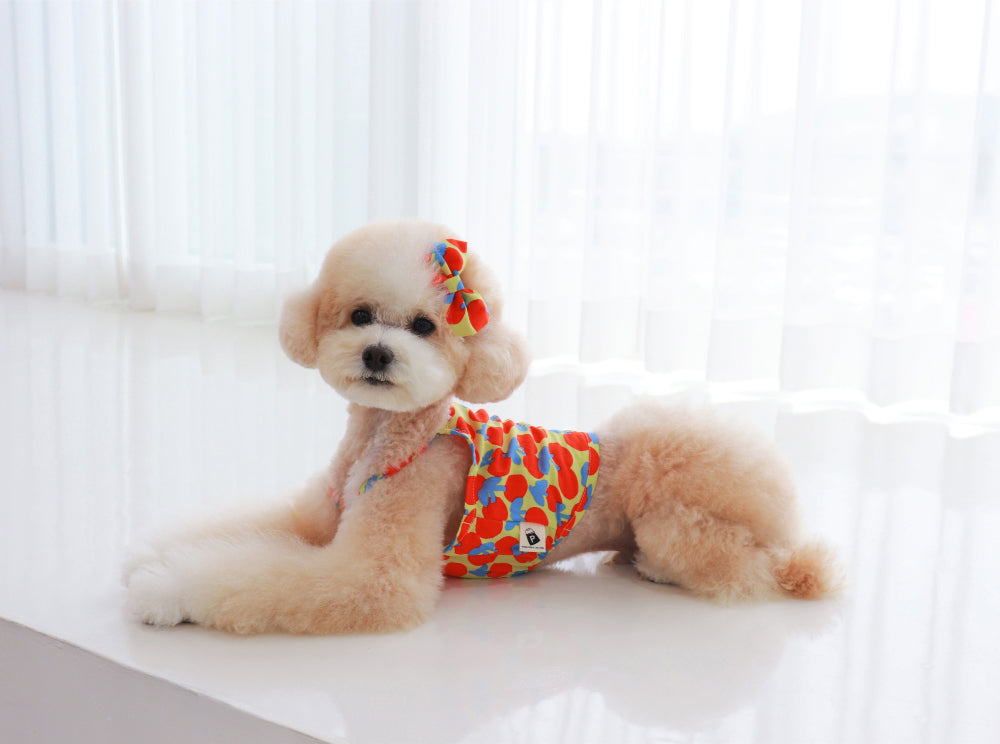 Cherry Crop Top – Yellow