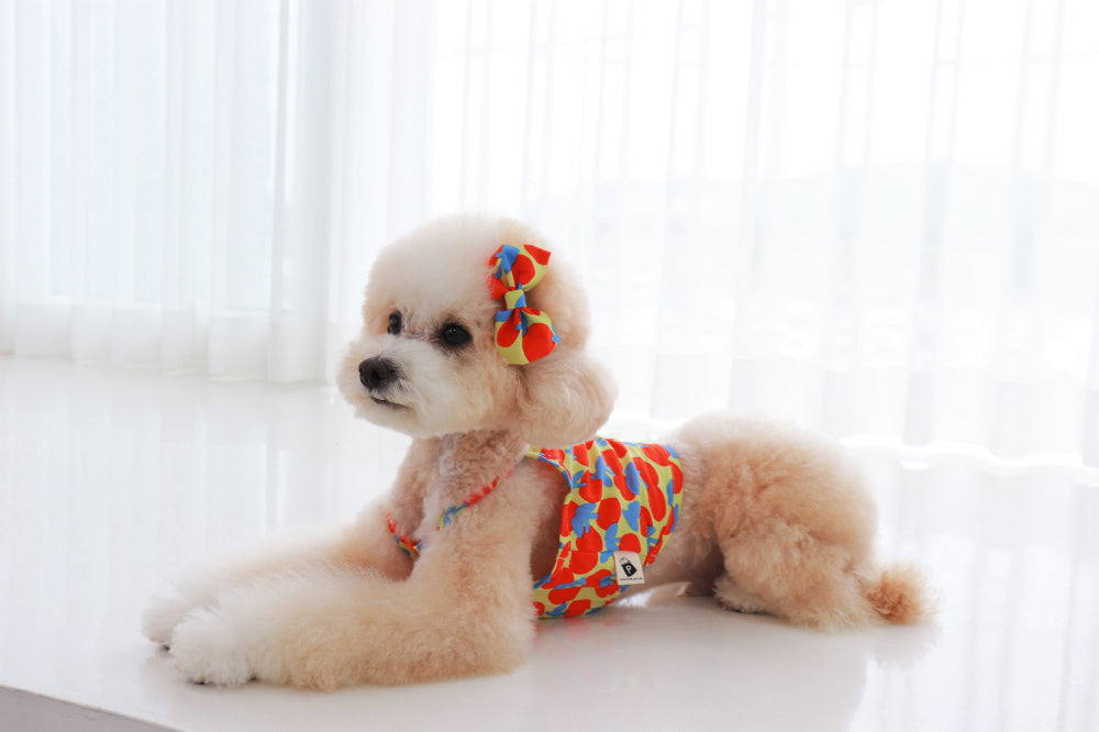 Cherry Crop Top – Yellow