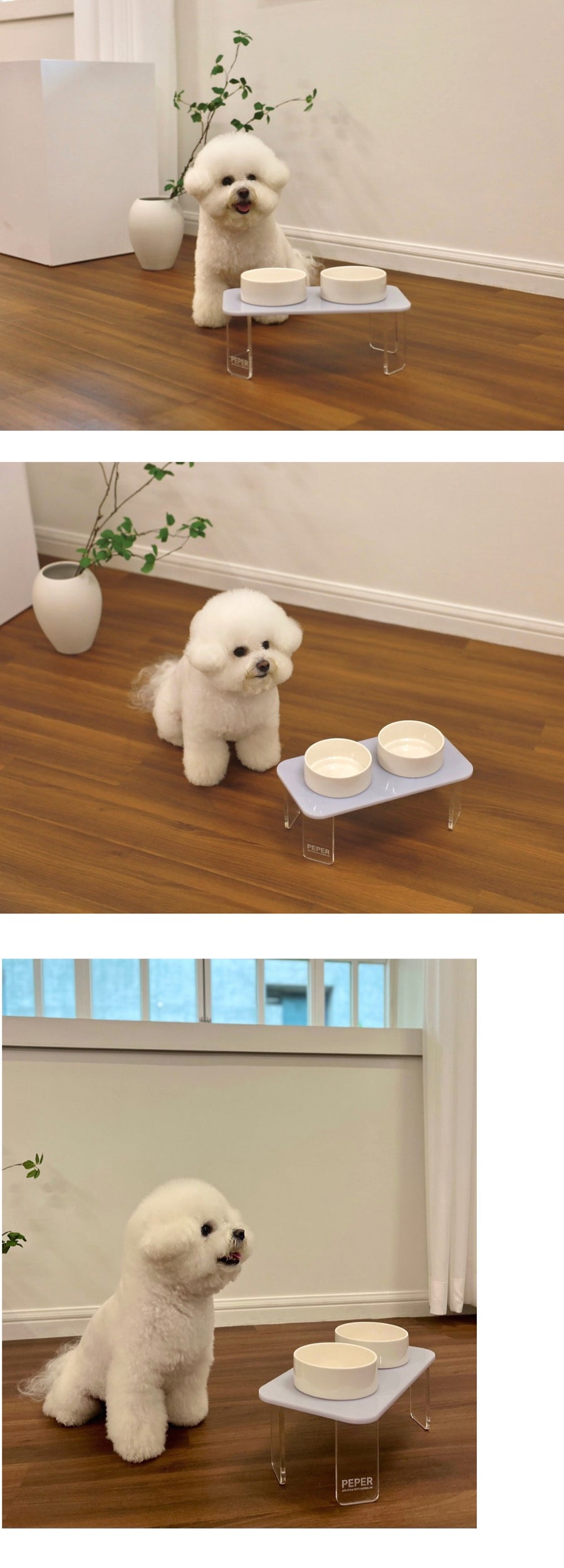 Clear Pet Table – 2 Types (Ceramic Dish Included)