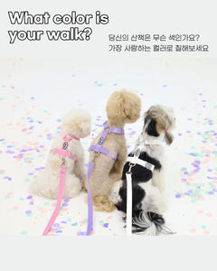 Colors온 멀티 Leash (8 Colors)