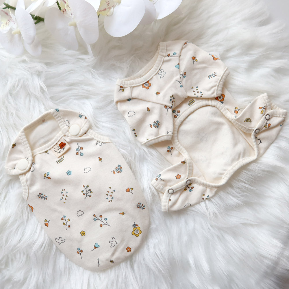Organic 오픈 All-in-One (Ivory)