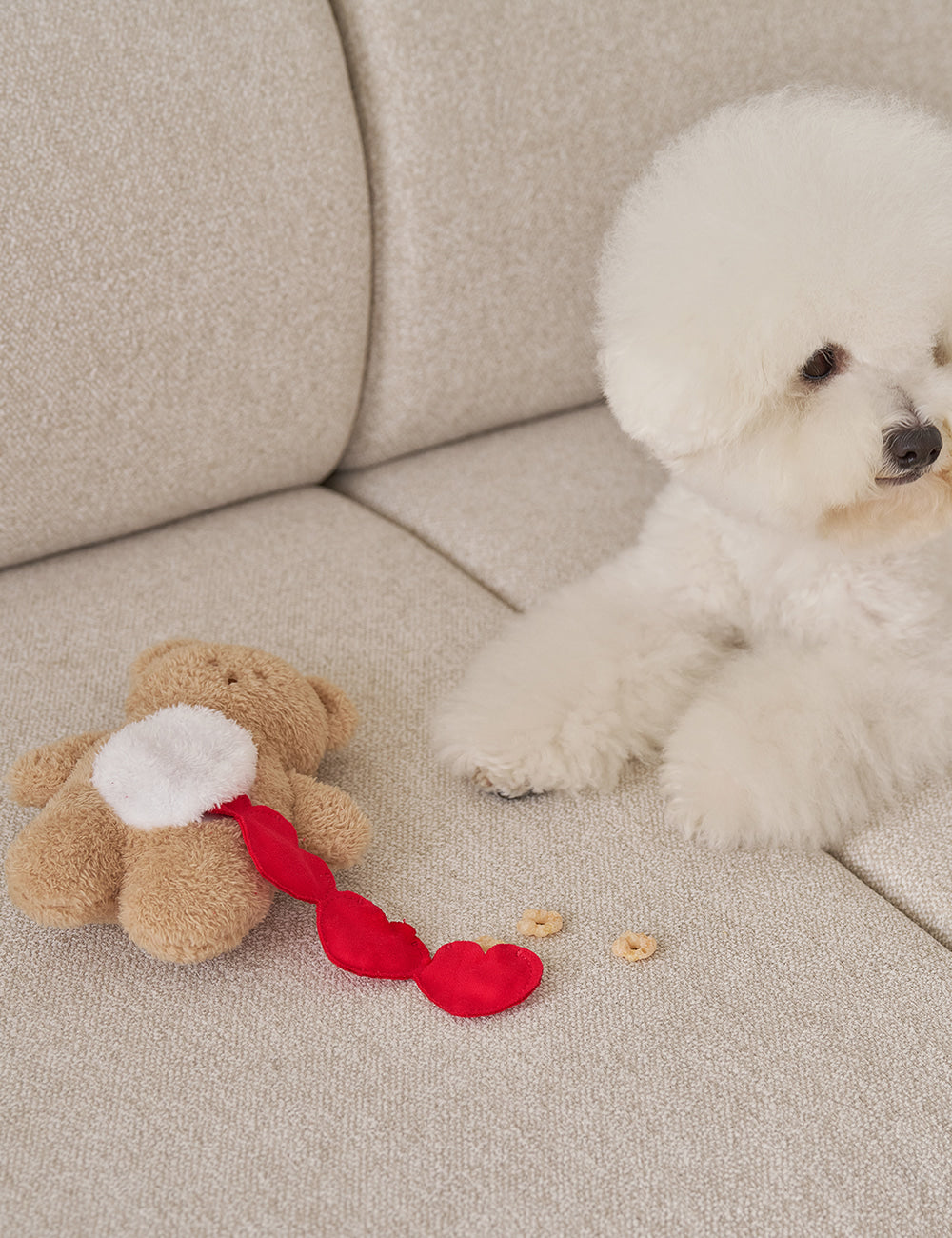 Sniff Bear Nosework Toy