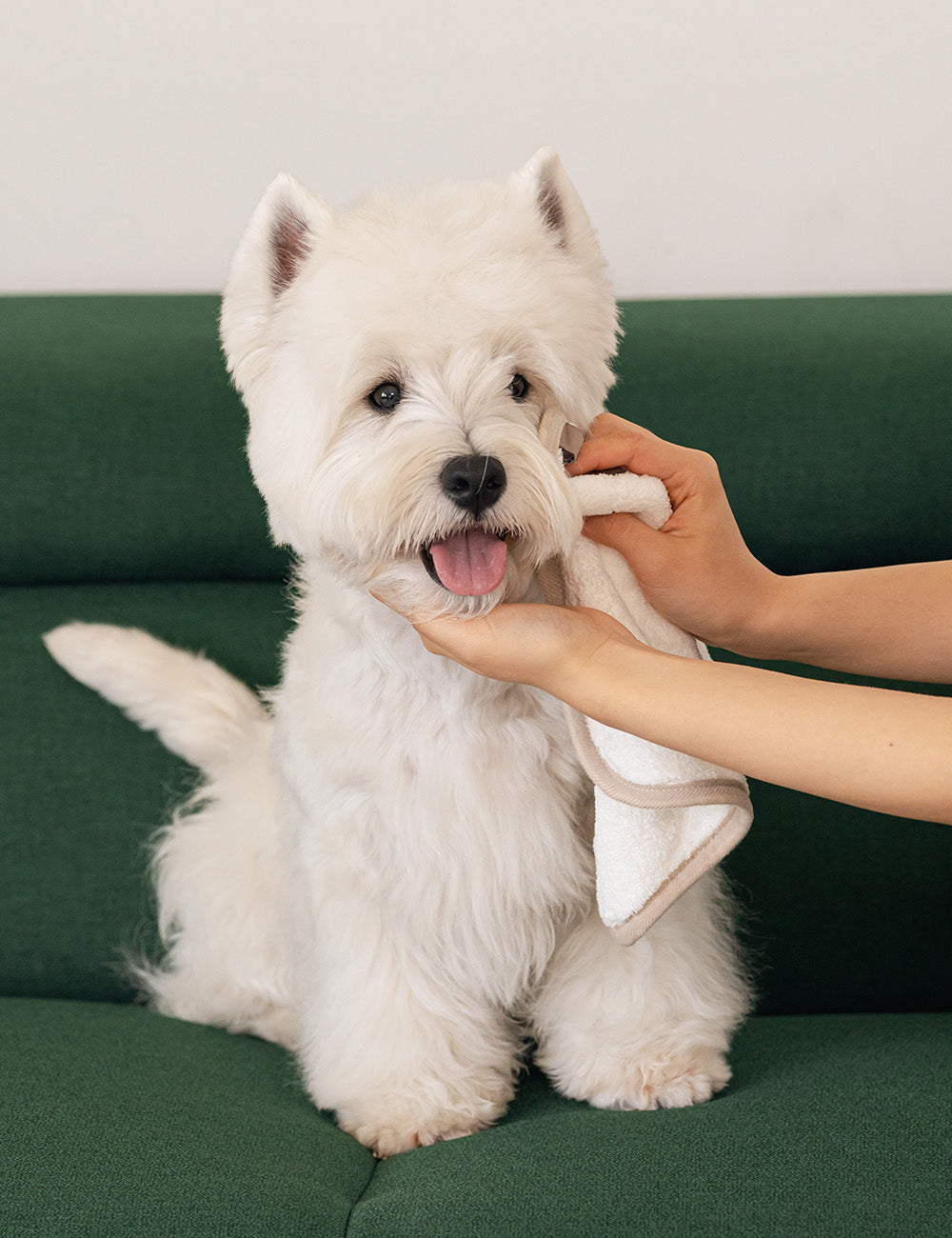 Hug Me Pet Towel 2Size (S/M)