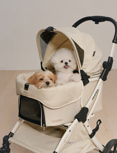 All Day Plus All-in-One Stroller 2 Colors