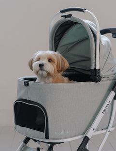 DuoFlex Detachable Stroller 2 Colors