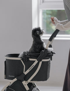 All Day Light All-in-One Stroller 2nd Gen 2 Colors