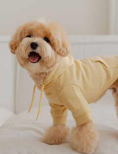 Mellow Hoodie T-Shirt 2 Colors